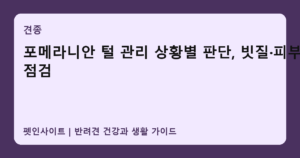 포메라니안 털 관리 상황별 판단, 빗질·피부 점검 썸네일