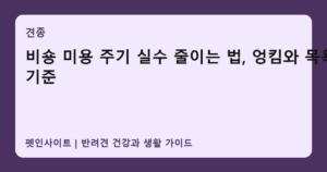 비숑 미용 주기 실수 줄이는 법, 엉킴와 목욕 기준 썸네일