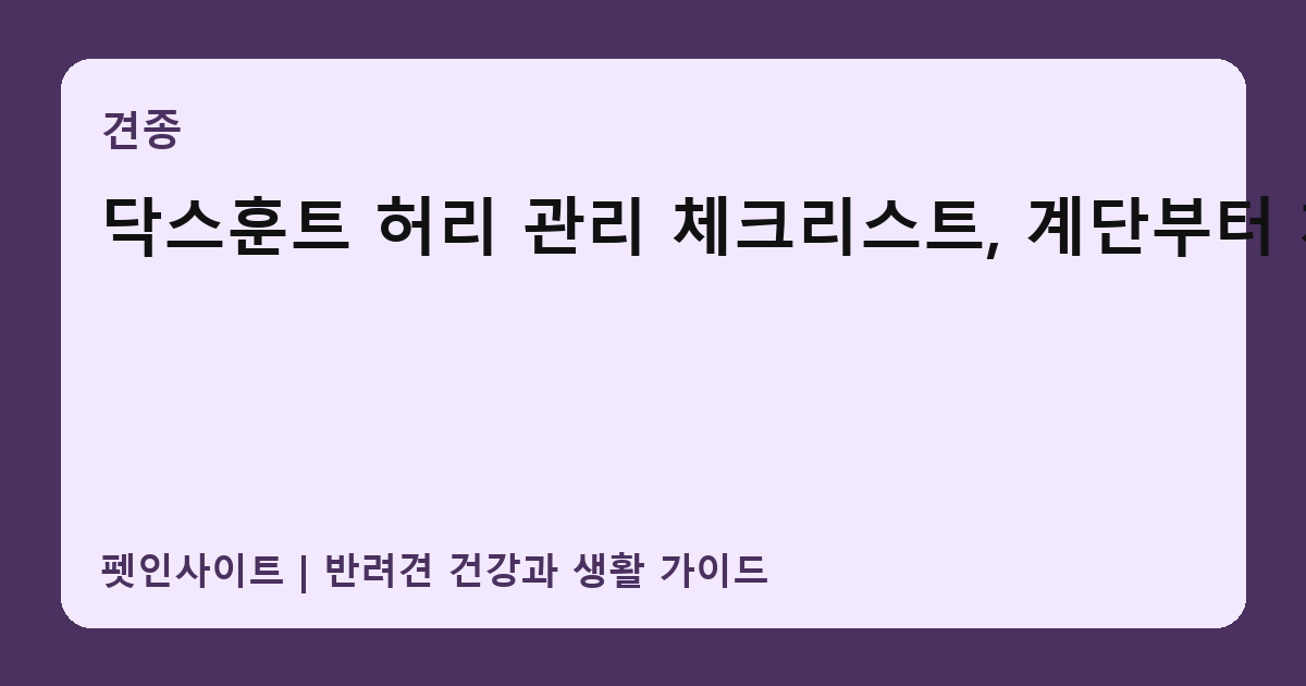닥스훈트 허리 관리 체크리스트, 계단부터 체중까지 썸네일