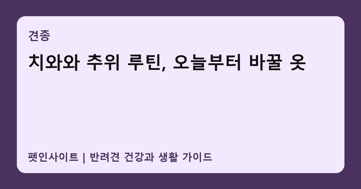 치와와 추위 루틴, 오늘부터 바꿀 옷 썸네일